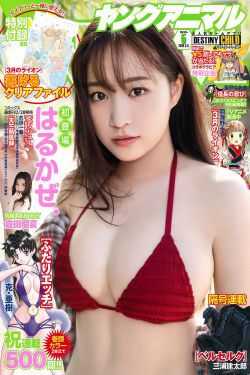 冬日恋歌