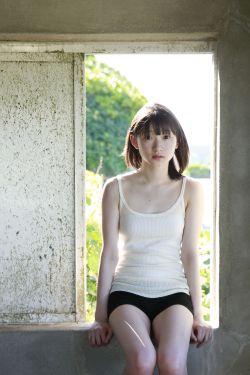 金花瓶楷梅花2免费